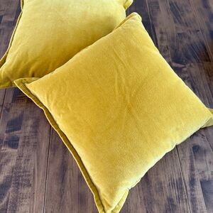 Beautiful Gold Accent Pillows ~ Set of Two